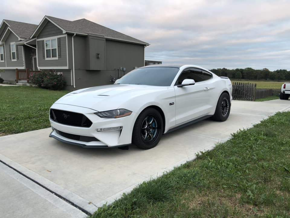 1518 Mustang S550 tagged "Electrical Components" Motion Raceworks