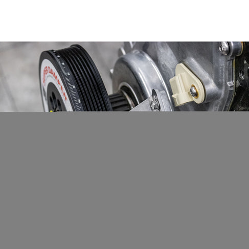 LS Adjustable Timing Pointer Kit (F Body / GTO Spacing) 10-11003-Motion Raceworks-Motion Raceworks