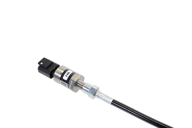 RIFE 3AN 12" Sensor Leash - Motion Raceworks