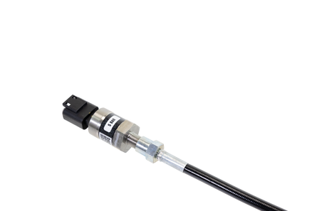 RIFE 3AN 12" Sensor Leash - Motion Raceworks