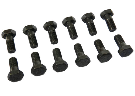 1/2 - 20 Ring Gear Bolt Kit for Dana 60™ - Motion Raceworks